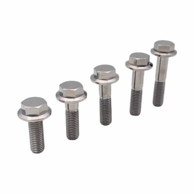 Pern de brida hexagonal de titani